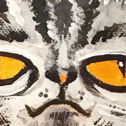 La blue cosmica cat