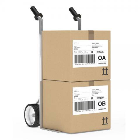 Etichetta dato variabile logistica
