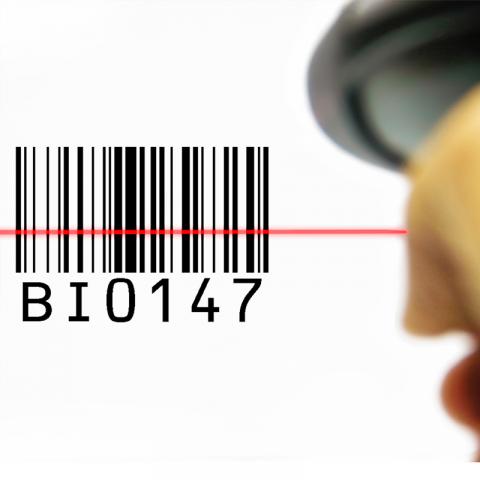Etichetta con numerazione progressiva Etichetta numerazione progressiva