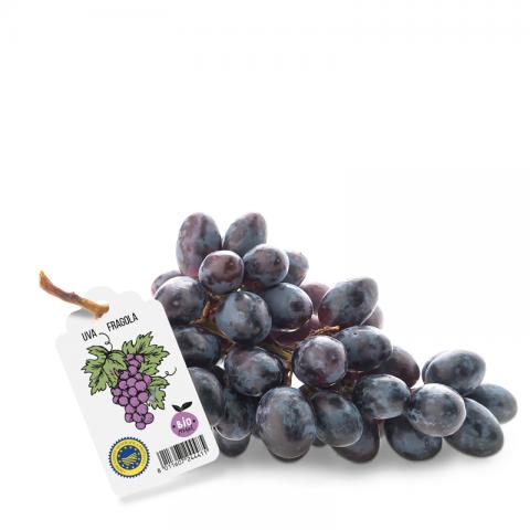 Etichetta a bandiera per alimenti Funzionale etichetta bandiera alimentare