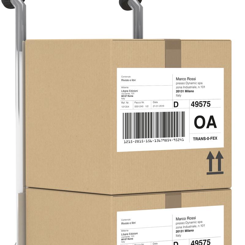 etichetta dato variabile logistica